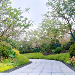 別墅庭院設(shè)計(jì)的后期如何養(yǎng)護(hù)始作俑者？